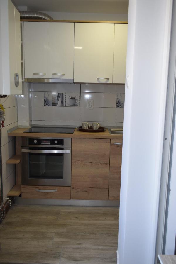 Apartament Palatul De Justitie Rhbm Baia Mare Exteriör bild